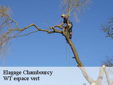 Elagage chambourcy-78240 WT espace vert