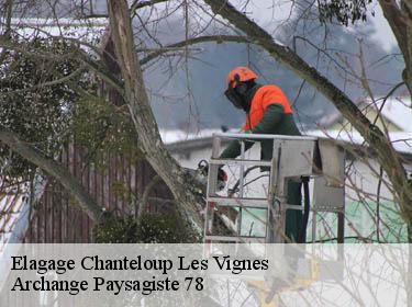 Elagage  chanteloup-les-vignes-78570 Archange Paysagiste 78