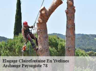 Elagage  clairefontaine-en-yvelines-78120 Archange Elagage