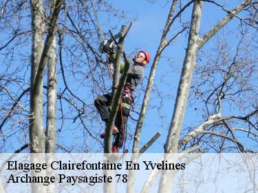 Elagage  clairefontaine-en-yvelines-78120 Archange Elagage