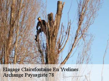 Elagage  clairefontaine-en-yvelines-78120 Archange Paysagiste 78