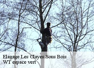 Elagage les-clayes-sous-bois-78340 Archange Paysagiste 78