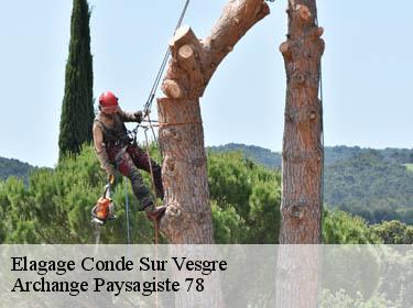 Elagage  conde-sur-vesgre-78113 Archange Paysagiste 78