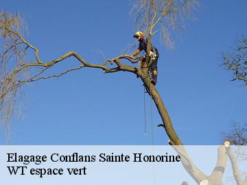 Elagage conflans-sainte-honorine-78700 Archange Paysagiste 78