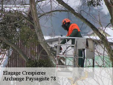 Elagage  crespieres-78121 Archange Elagage