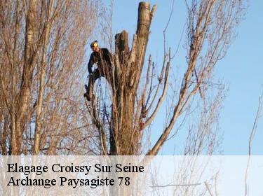Elagage  croissy-sur-seine-78290 Archange Paysagiste 78