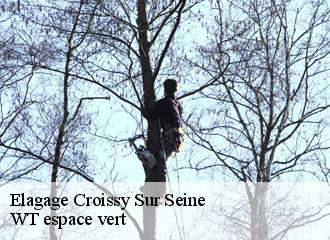 Elagage croissy-sur-seine-78290 WT espace vert