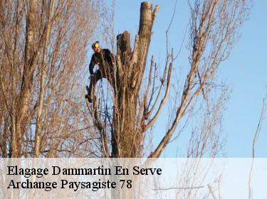 Elagage  dammartin-en-serve-78111 Archange Paysagiste 78
