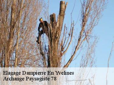 Elagage  dampierre-en-yvelines-78720 Archange Elagage