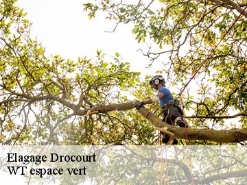 Elagage drocourt-78440 WT espace vert