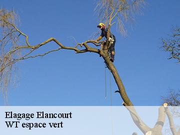 Elagage elancourt-78990 WT espace vert