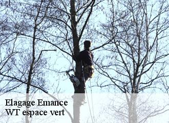 Elagage  emance-78125 Archange Paysagiste 78