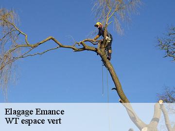 Elagage  emance-78125 Archange Paysagiste 78