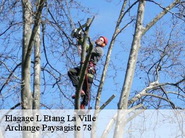 Elagage  l-etang-la-ville-78620 Archange Paysagiste 78