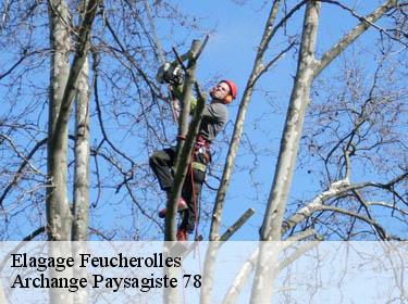 Elagage  feucherolles-78810 Archange Paysagiste 78