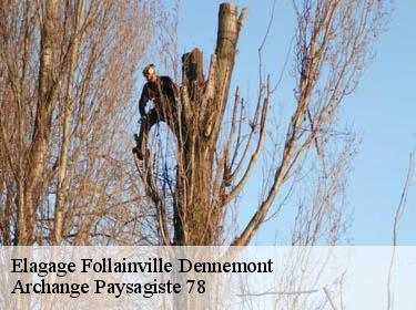 Elagage  follainville-dennemont-78520 Archange Paysagiste 78