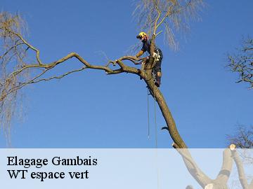 Elagage gambais-78950 WT espace vert