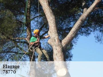 Elagage goupillieres-78770 Archange Paysagiste 78