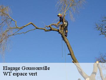 Elagage goussonville-78930 WT espace vert