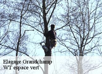 Elagage  grandchamp-78113 Archange Paysagiste 78