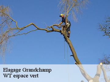 Elagage  grandchamp-78113 Archange Paysagiste 78