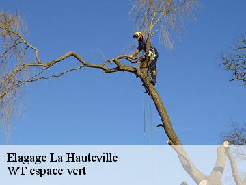 Elagage  la-hauteville-78113 Archange Paysagiste 78