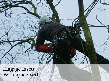 Elagage issou-78440 WT espace vert