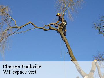 Elagage jambville-78440 WT espace vert