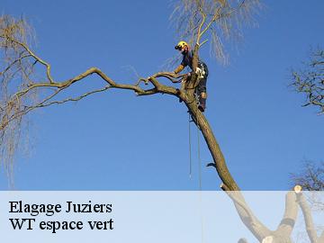 Elagage juziers-78820 Archange Paysagiste 78