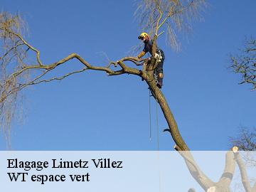 Elagage limetz-villez-78270 Archange Paysagiste 78