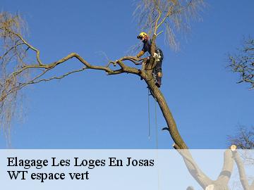 Elagage les-loges-en-josas-78350 WT espace vert