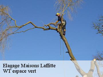 Elagage maisons-laffitte-78600 WT espace vert