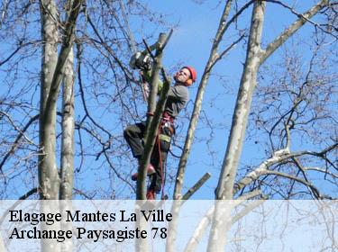 Elagage  mantes-la-ville-78200 Archange Elagage