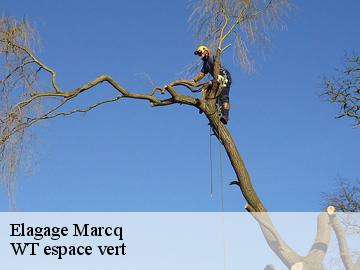 Elagage  marcq-78770 Archange Paysagiste 78