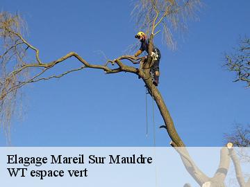Elagage mareil-sur-mauldre-78124 Archange Paysagiste 78