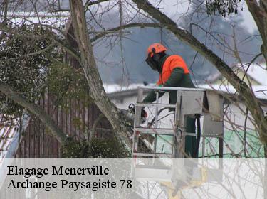 Elagage  menerville-78200 Archange Paysagiste 78