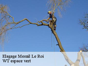 Elagage mesnil-le-roi-78600 WT espace vert