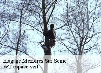 Elagage  mezieres-sur-seine-78970 Archange Paysagiste 78