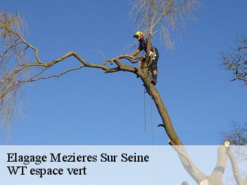 Elagage  mezieres-sur-seine-78970 Archange Paysagiste 78