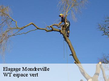 Elagage mondreville-78980 WT espace vert