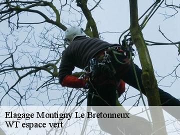 Elagage montigny-le-bretonneux-78180 Archange Elagage