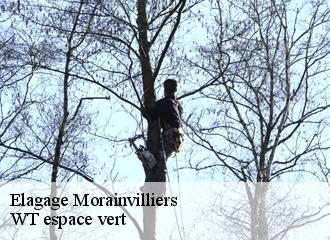 Elagage  morainvilliers-78630 Archange Paysagiste 78