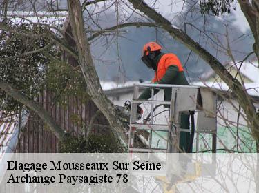 Elagage  mousseaux-sur-seine-78270 Archange Paysagiste 78