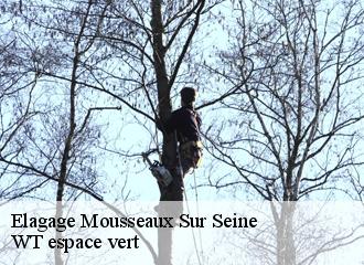 Elagage  mousseaux-sur-seine-78270 Archange Paysagiste 78