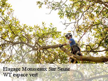 Elagage  mousseaux-sur-seine-78270 Archange Paysagiste 78