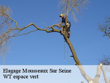 Elagage  mousseaux-sur-seine-78270 Archange Paysagiste 78