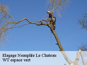 Elagage neauphle-le-chateau-78640 Archange Paysagiste 78