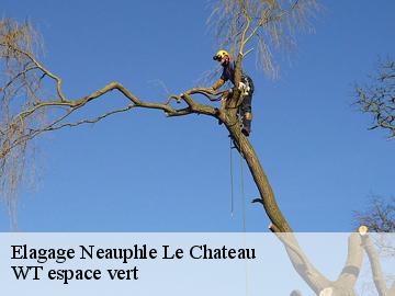 Elagage  neauphle-le-chateau-78640 Archange Paysagiste 78