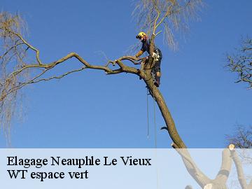 Elagage neauphle-le-vieux-78640 Archange Paysagiste 78