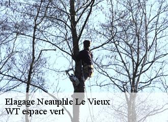 Elagage neauphle-le-vieux-78640 WT espace vert